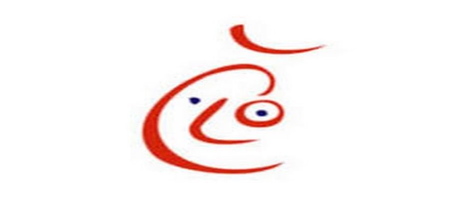 Česká lingvistická olympiáda 2019-2020