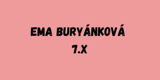 Úspěchy v soutěžích za školní rok 2023/2024