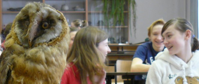 Školní kolo biologické olympiády kategorie C a D