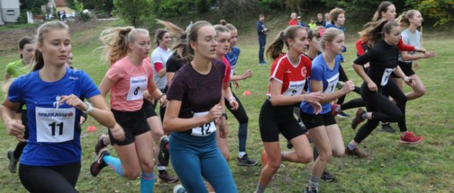 Studentky Gymnázia Trutnov s výraznou převahou zvítězily v krajském finále v přespolním běhu