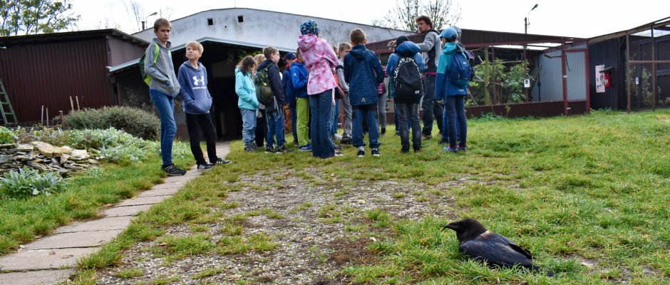 Envi exkurze JARO Jaroměř