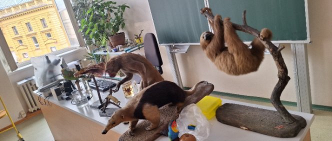 NADŠENÍ BIOLOGOVÉ Z GTU PŘI PŘÍPRAVĚ NA OLYMPIÁDU