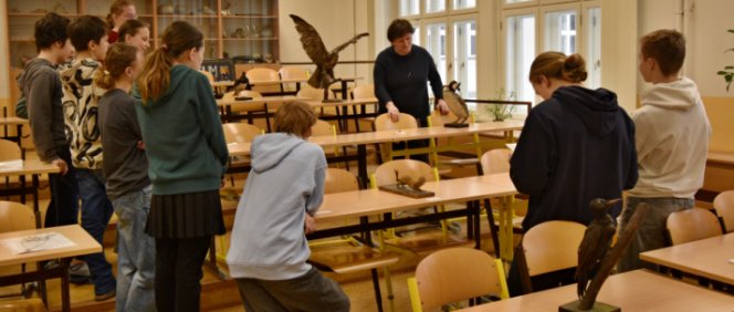 Školní kolo 60. ročníku biologické olympiády