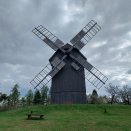 Pecka 2026: První turnus ve znamení kilometrů, adrenalinu a euforie