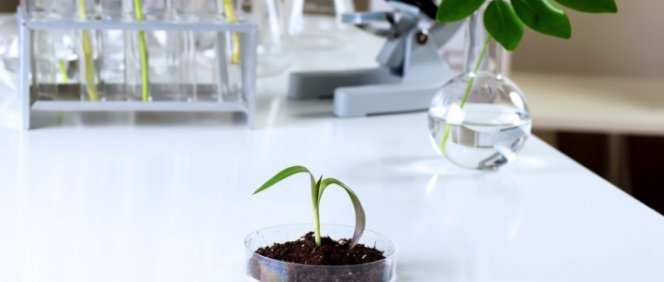 Okresní kolo BiO kategorie C