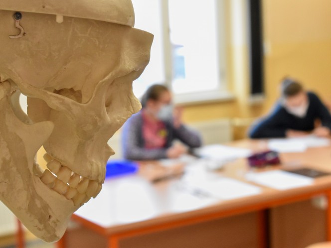 Školní kolo biologické olympiády kategorie C, D