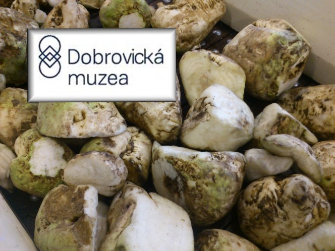 Exkurze v dobrovickém cukrovaru (třetí ročníky a septimy)