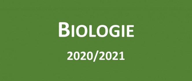Úspěchy v soutěžích za školní rok 2020/2021