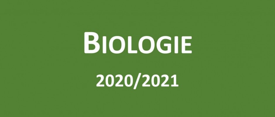 Úspěchy v soutěžích za školní rok 2020/2021