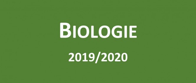 Úspěchy v soutěžích za školní rok 2019/2020