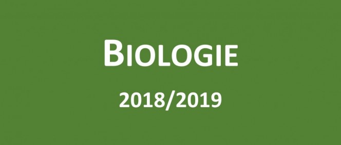 Úspěchy v soutěžích za školní rok 2018/2019