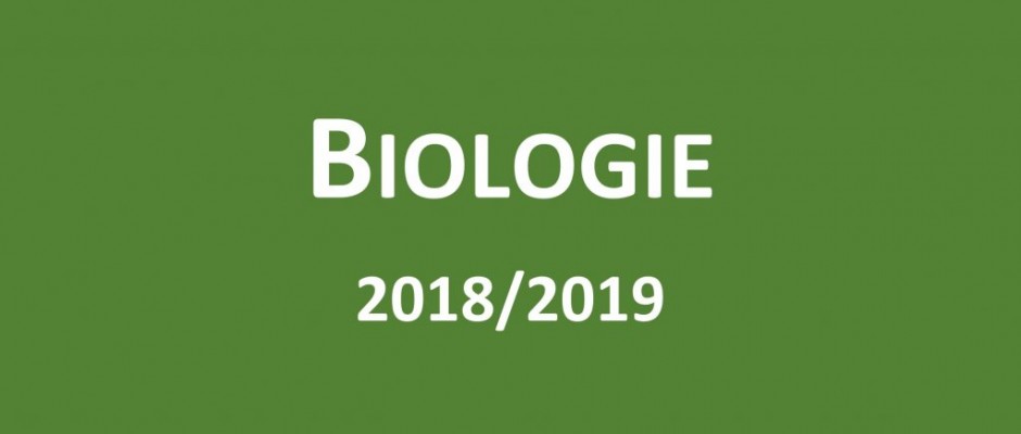 Úspěchy v soutěžích za školní rok 2018/2019