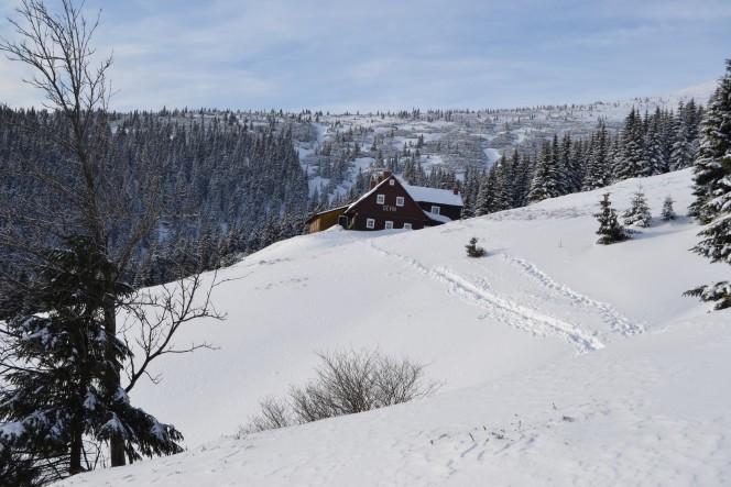 Děvín