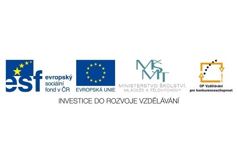 Environmentální vzdělávání pedagogů