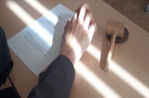 Mock trial – simulace soudního procesu